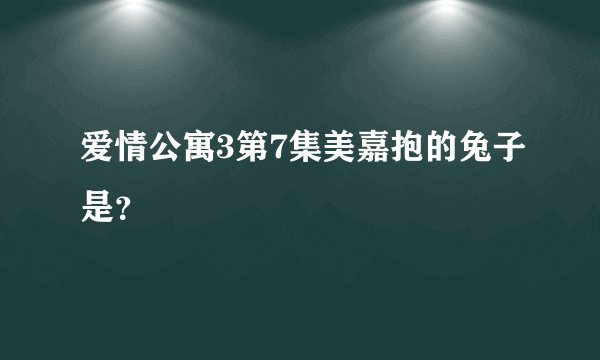 爱情公寓3第7集美嘉抱的兔子是？