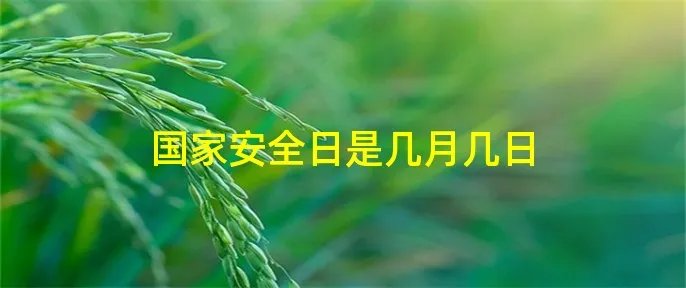 国家安全日是几月几日