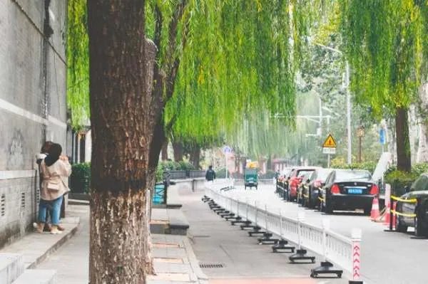 到北京旅游,你住过北京的胡同民宿吗?