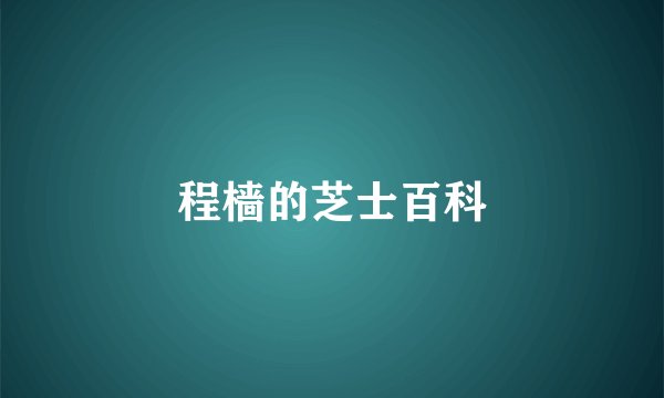 程樯的芝士百科