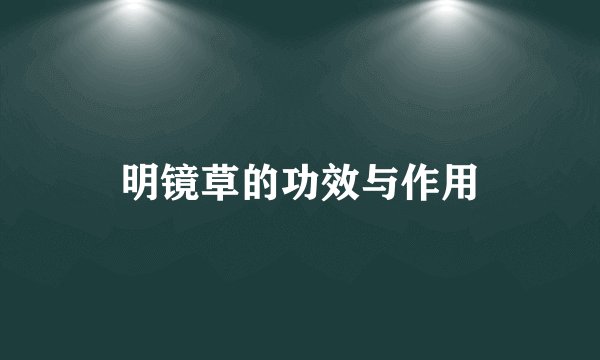 明镜草的功效与作用