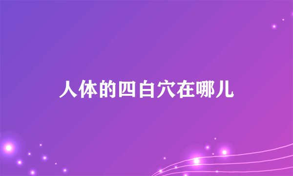 人体的四白穴在哪儿