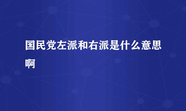 国民党左派和右派是什么意思啊