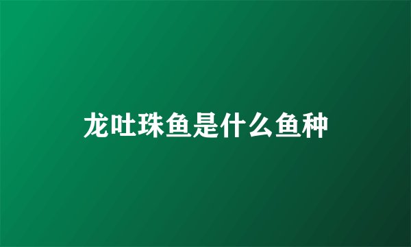 龙吐珠鱼是什么鱼种