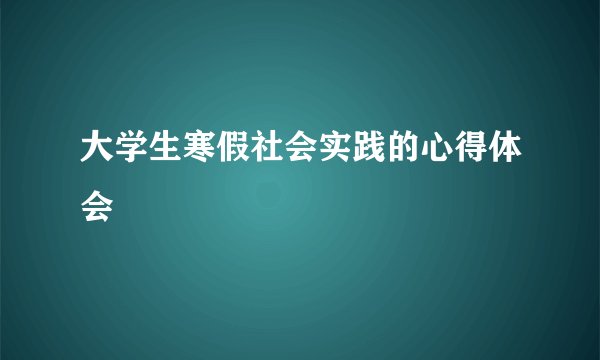 大学生寒假社会实践的心得体会