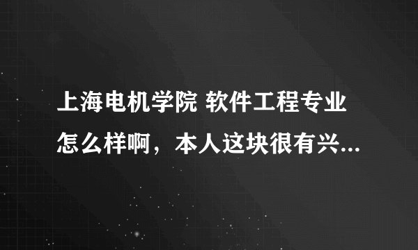 上海电机学院 软件工程专业怎么样啊，本人这块很有兴趣，分数正好够到这里
