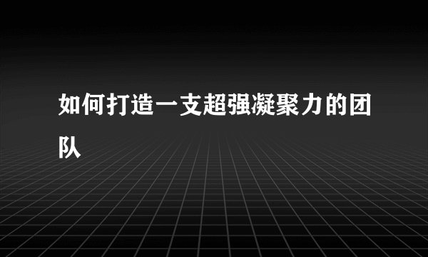 如何打造一支超强凝聚力的团队