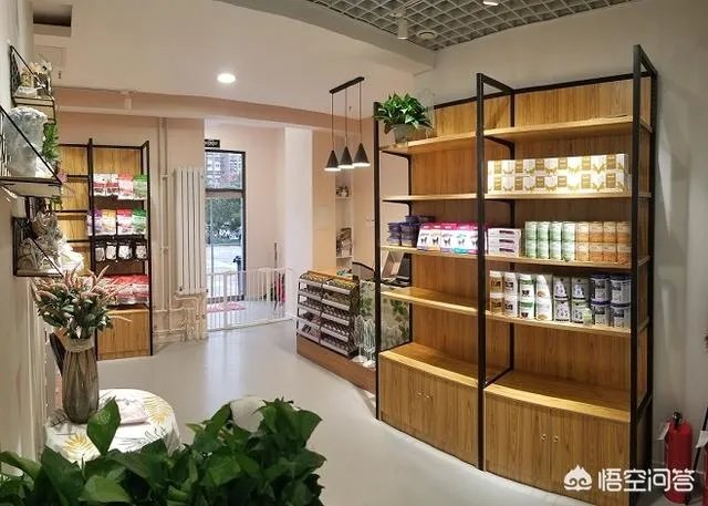 开宠物店加盟费是多少?