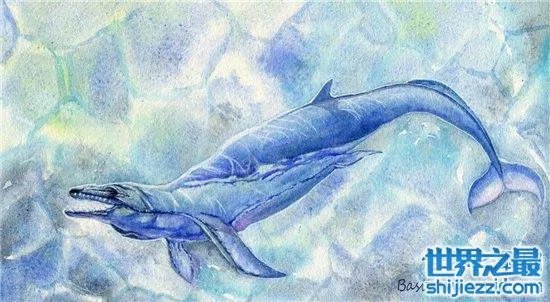 伊西斯龙王鲸是一种远古生物,曾是海洋中的霸主