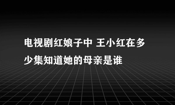 电视剧红娘子中 王小红在多少集知道她的母亲是谁
