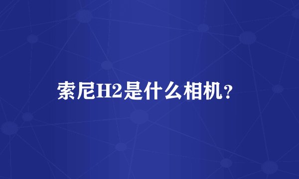 索尼H2是什么相机？