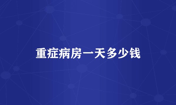 重症病房一天多少钱