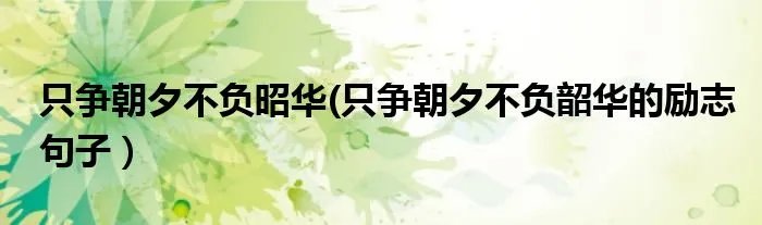 只争朝夕不负昭华(只争朝夕不负韶华的励志句子）