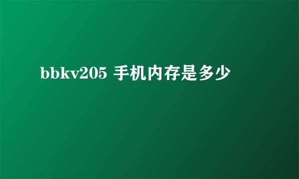 bbkv205 手机内存是多少