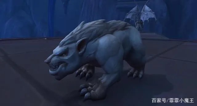 魔兽世界9.0猎人宠物排行攻略