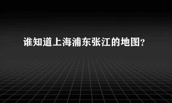 谁知道上海浦东张江的地图？