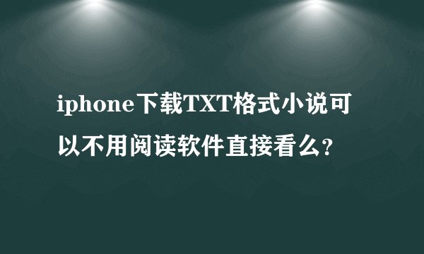 iphone下载TXT格式小说可以不用阅读软件直接看么？