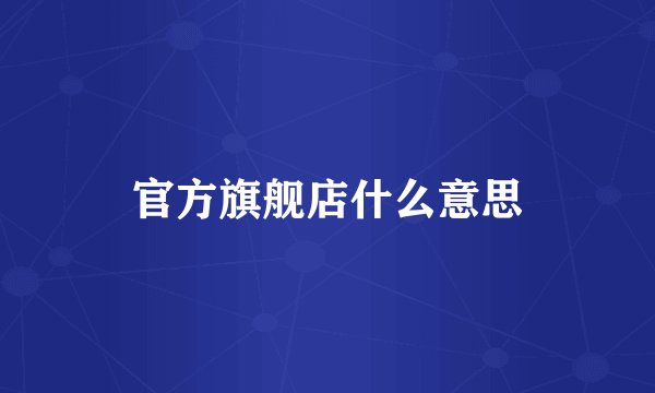 官方旗舰店什么意思