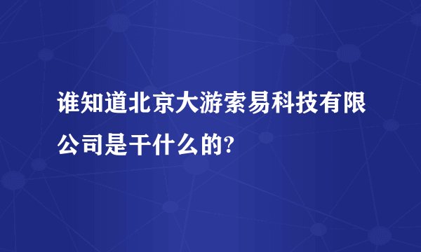谁知道北京大游索易科技有限公司是干什么的?