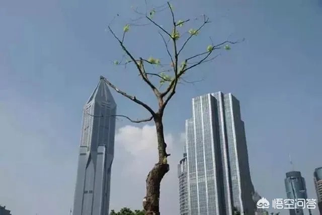 小白怎么学习摄影?