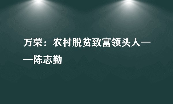 万荣：农村脱贫致富领头人——陈志勤