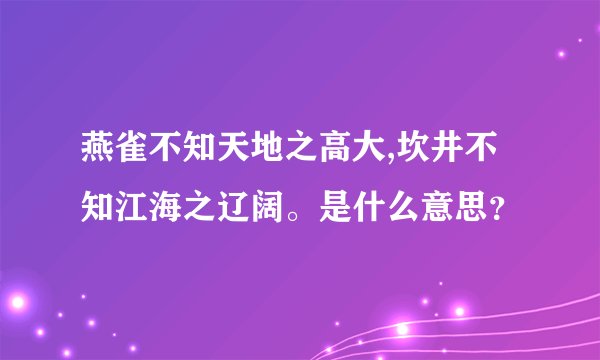 燕雀不知天地之高大,坎井不知江海之辽阔。是什么意思？