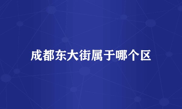 成都东大街属于哪个区