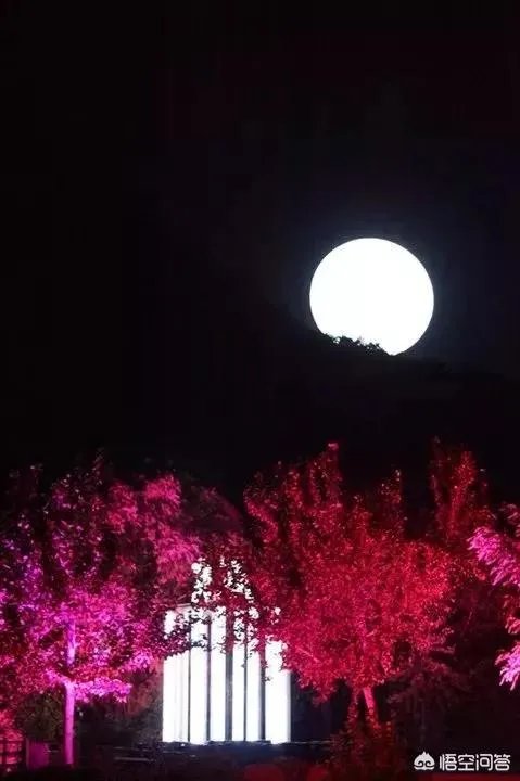小白怎么学习摄影?