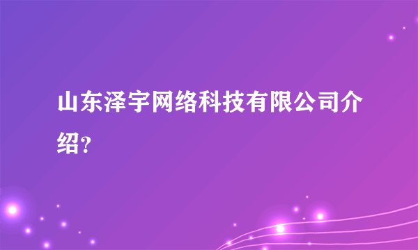 山东泽宇网络科技有限公司介绍？