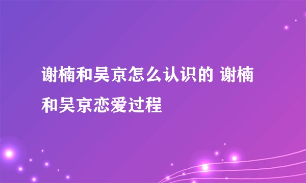 谢楠和吴京怎么认识的 谢楠和吴京恋爱过程