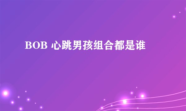 BOB 心跳男孩组合都是谁