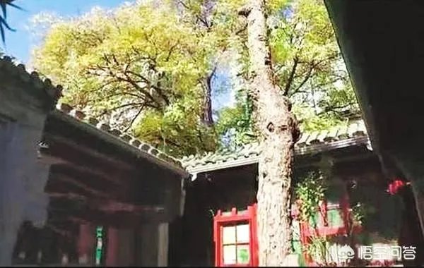 哪些名人明星拥有价值不菲的四合院?
