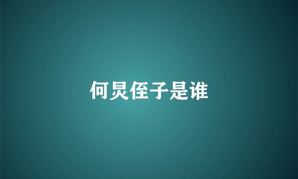 何炅侄子是谁