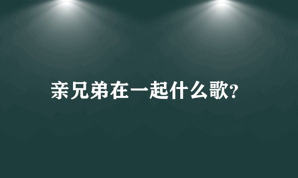 亲兄弟在一起什么歌？