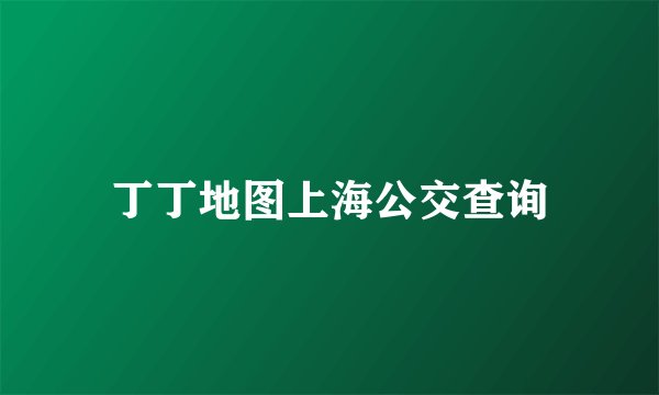 丁丁地图上海公交查询