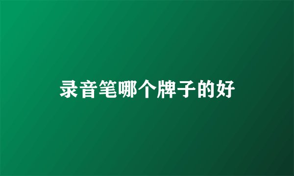 录音笔哪个牌子的好