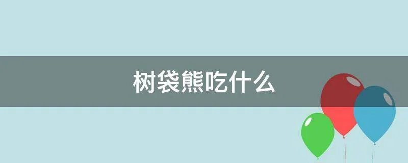 树袋熊吃什么