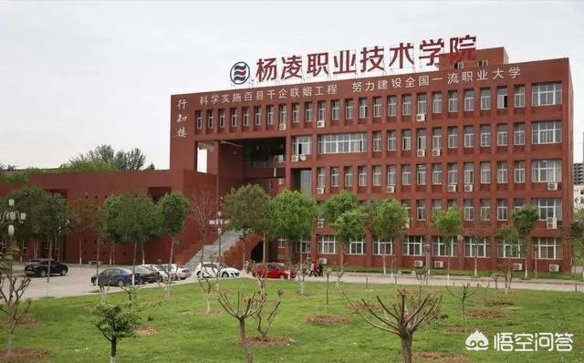 陕西省有哪些大专?哪所大专比较好?