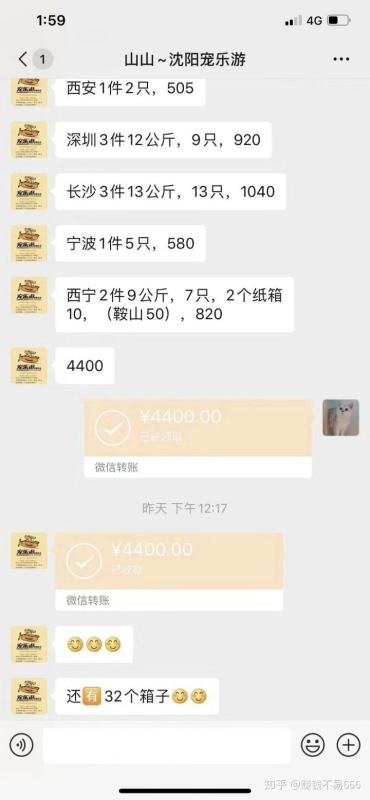 开个宠物店大概多少钱？