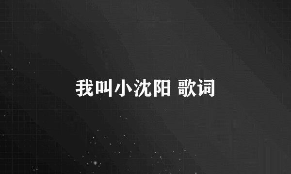我叫小沈阳 歌词