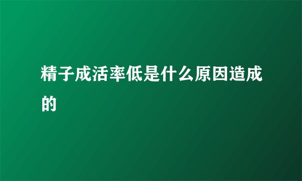 精子成活率低是什么原因造成的