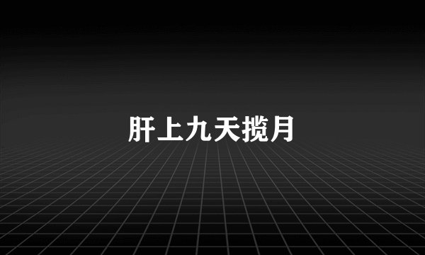 肝上九天揽月