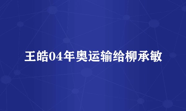王皓04年奥运输给柳承敏