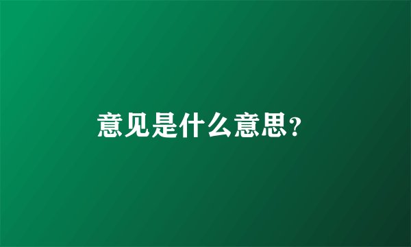 意见是什么意思？