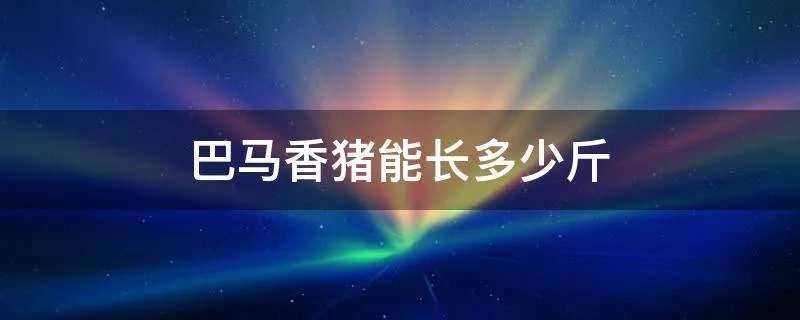 巴马香猪能长多少斤