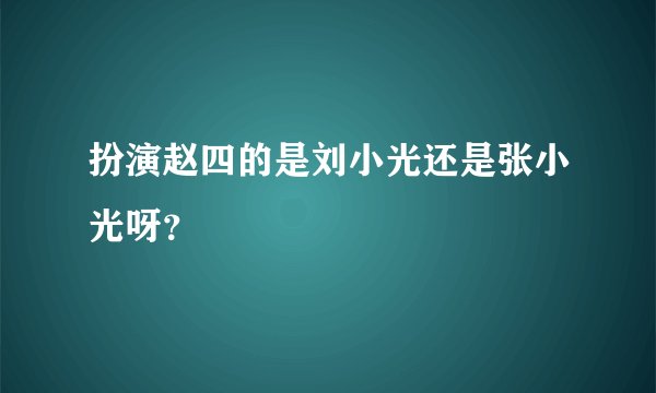 扮演赵四的是刘小光还是张小光呀？