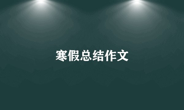 寒假总结作文