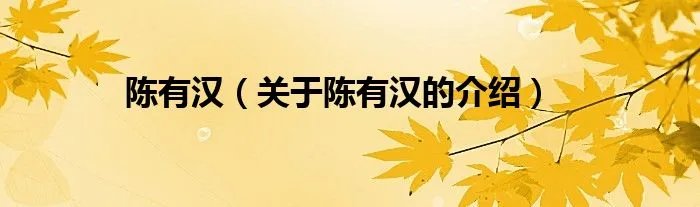 陈有汉（关于陈有汉的介绍）