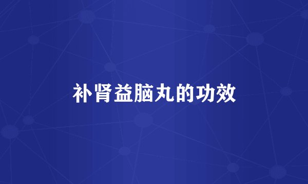 补肾益脑丸的功效