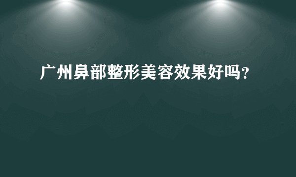 广州鼻部整形美容效果好吗？